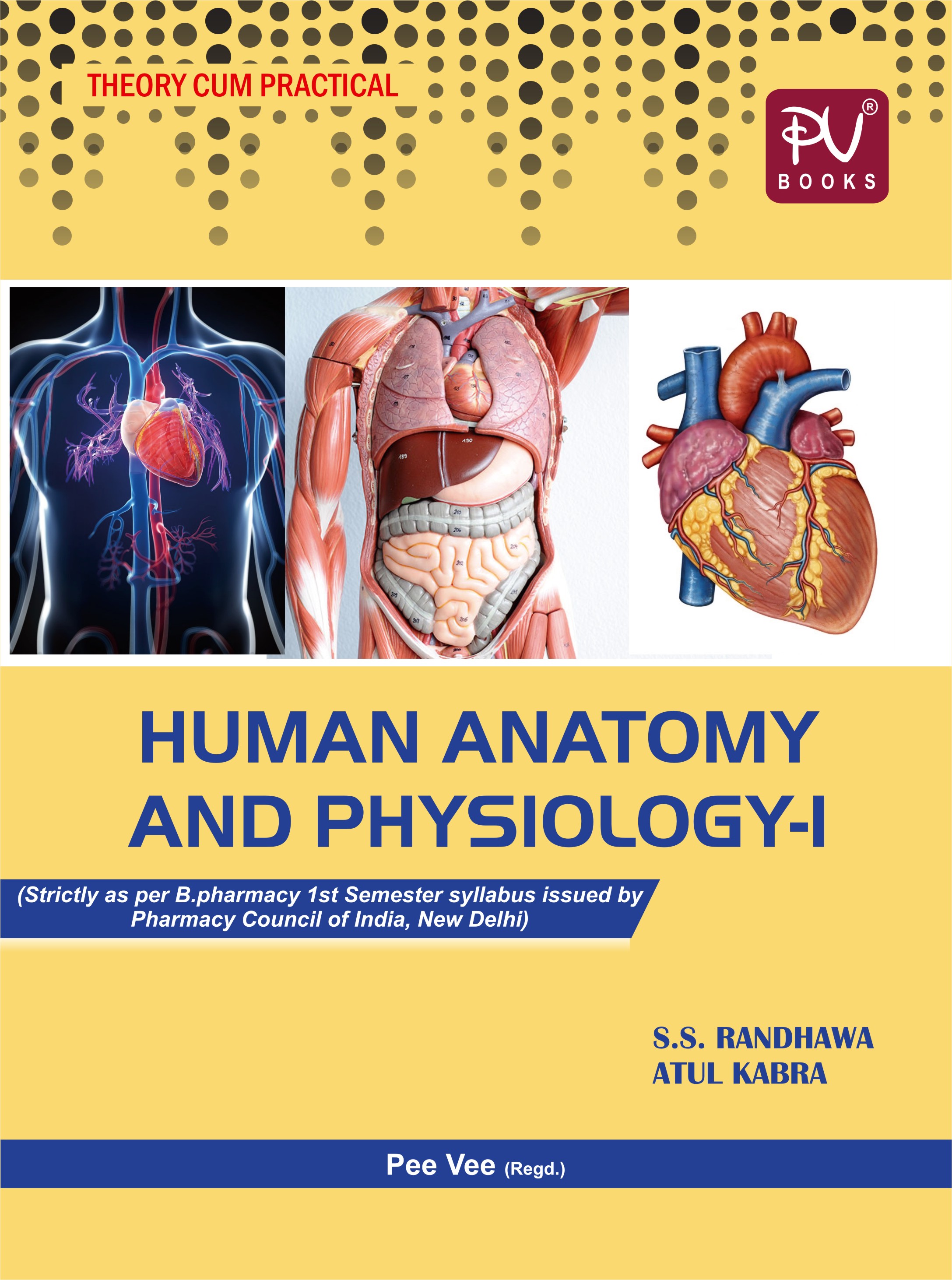 the-easiest-way-to-learn-anatomy-and-physiology-randomhealthnet